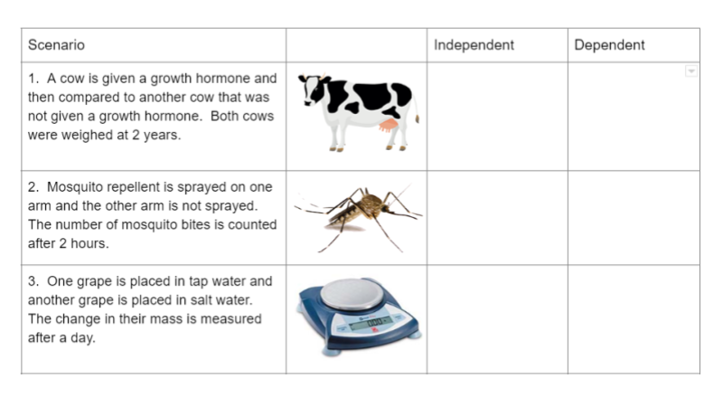 Independent Dependent Variables Practice Worksheets Library