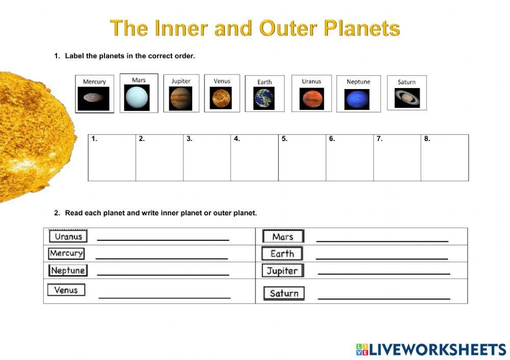 your inner reptille worksheet