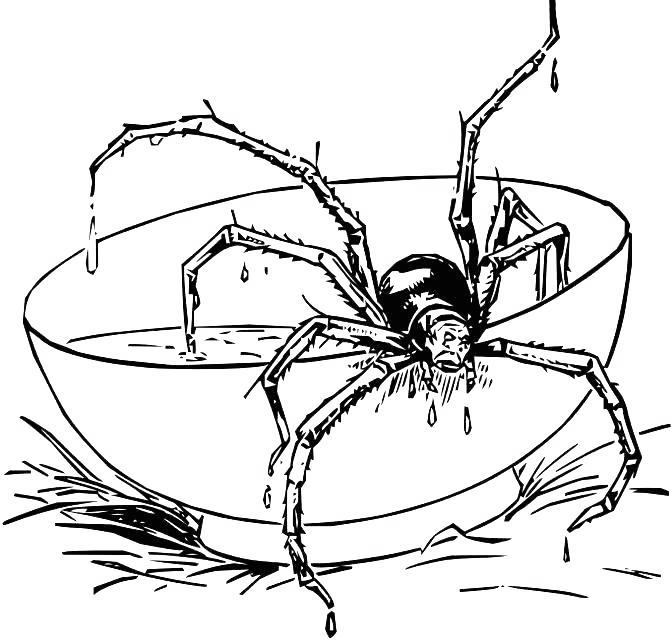 Iron Spider Coloring Pages Realistic Spider Free Printable Coloring Pages
