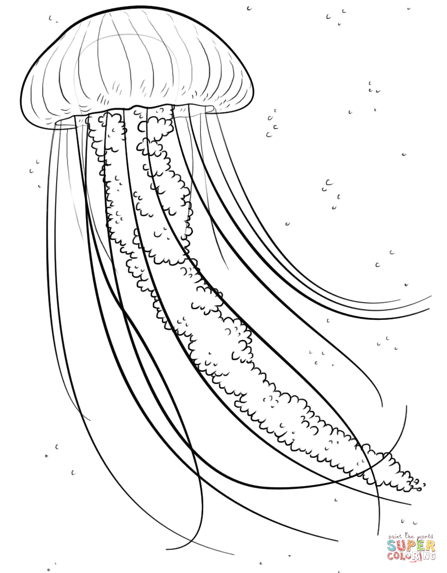 Jellyfish Coloring Pages For Kids Coloring Home