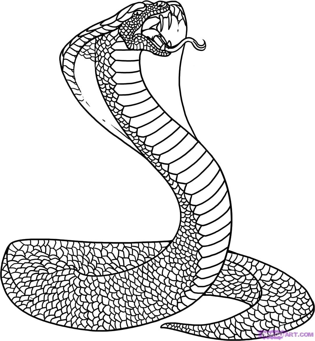 King Cobra Coloring Page Coloring Home