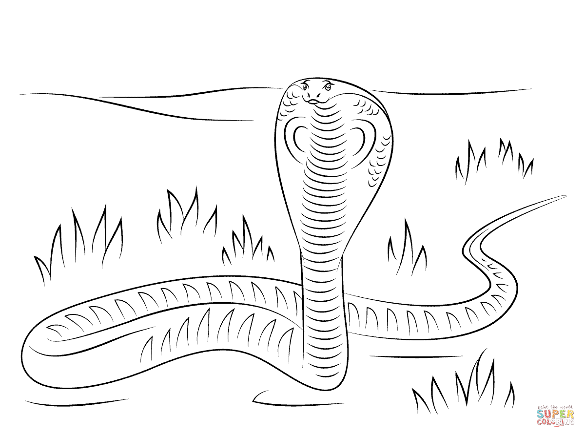 King Cobra Coloring Page Coloring Home