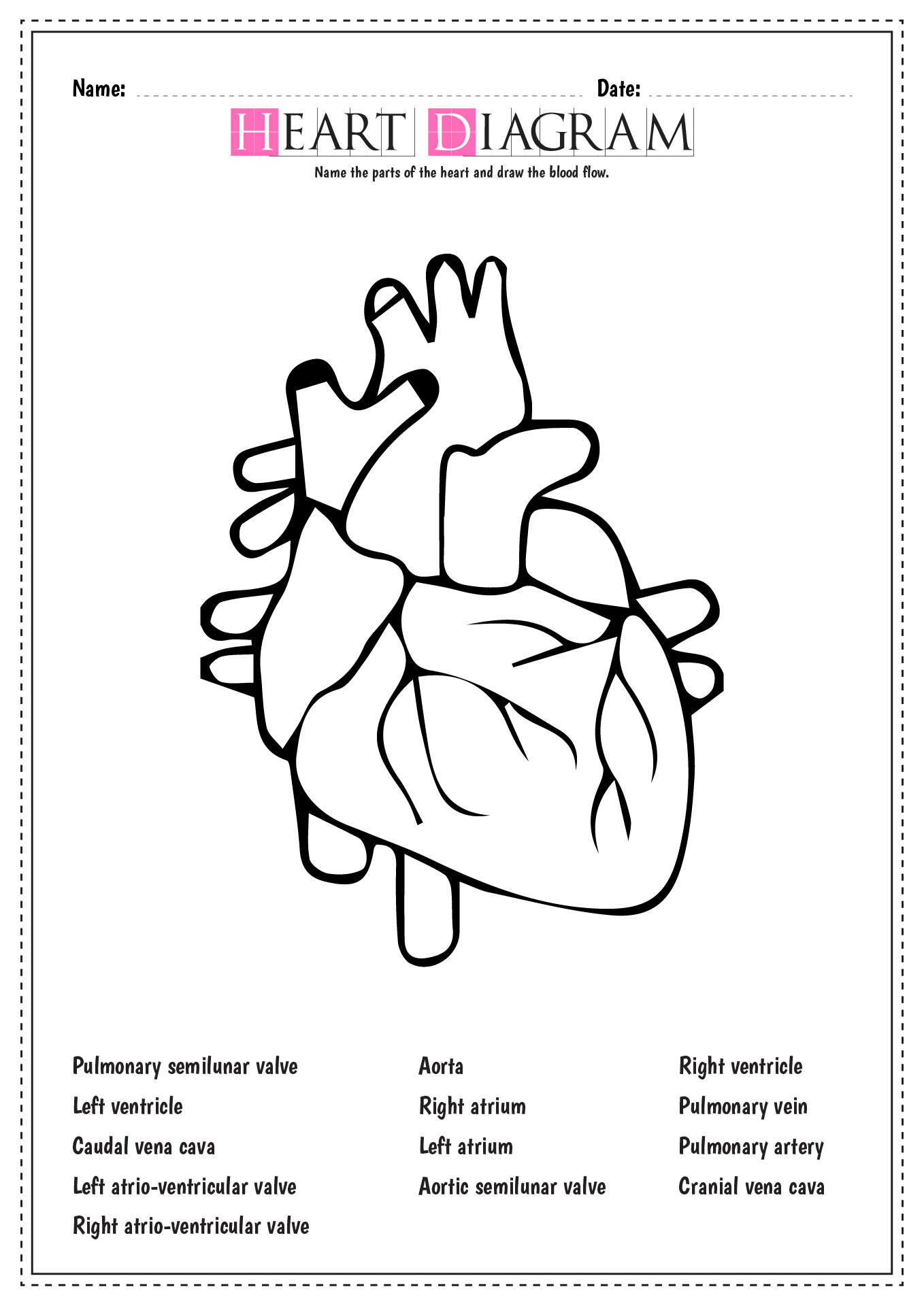 labeled heart worksheet