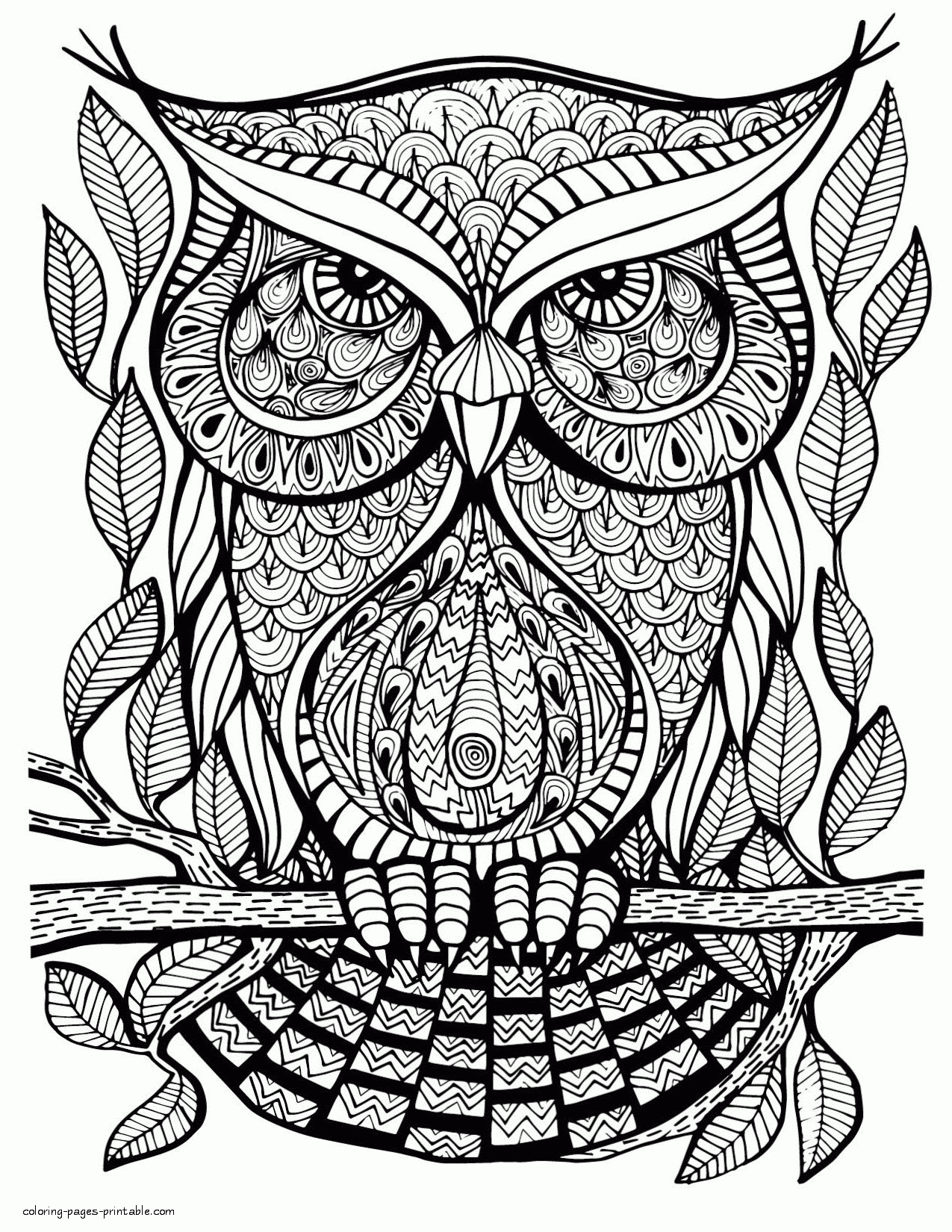 coloring pages free for adults