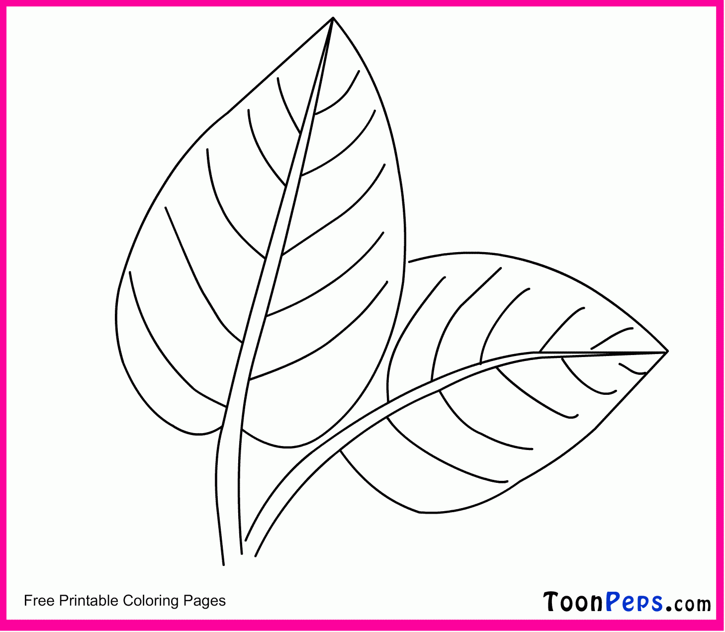 Leaves Coloring Pages