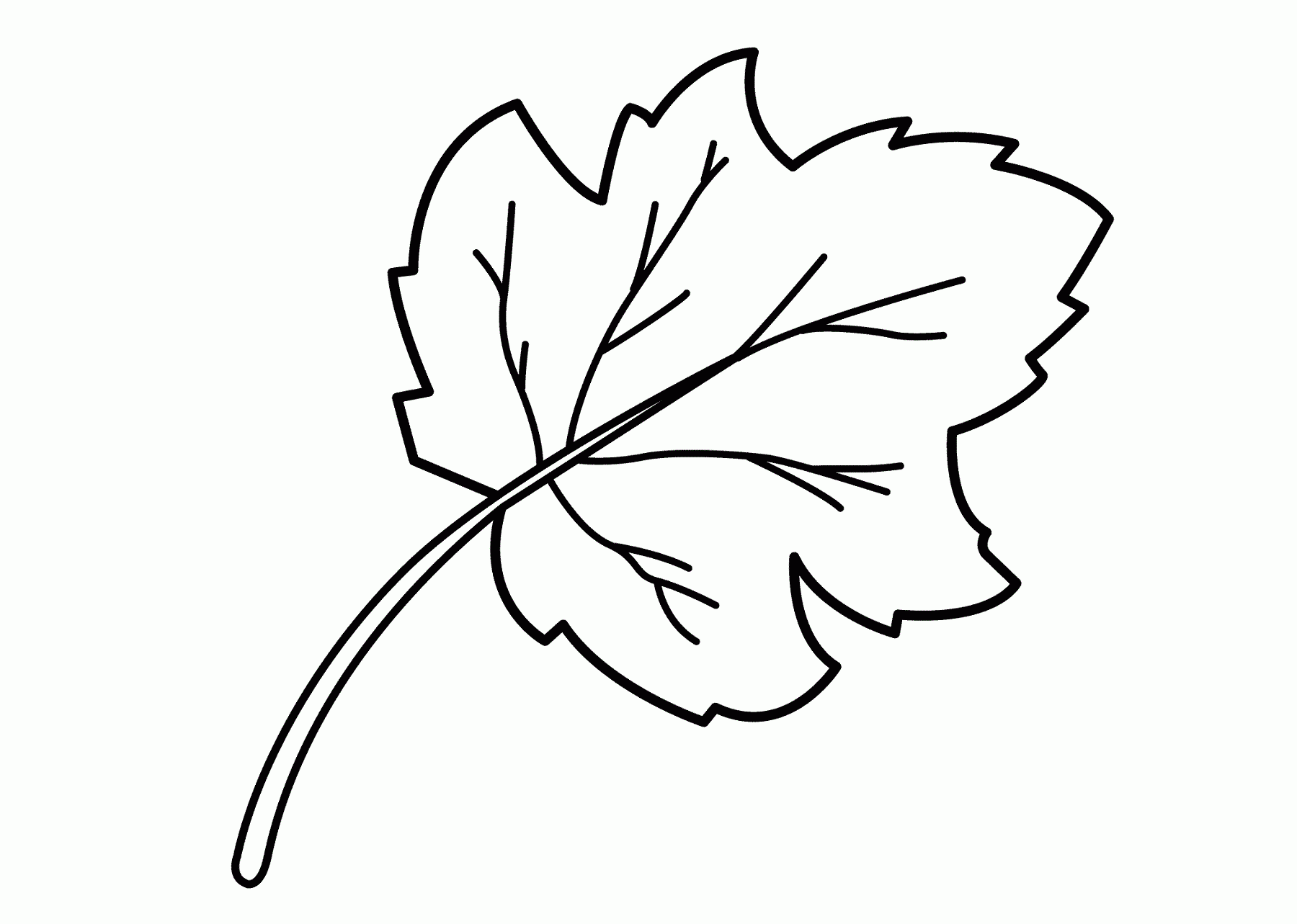 Leaf Coloring Pages For Preschool Activity Shelter