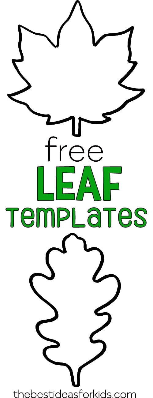 leaf templates free printables