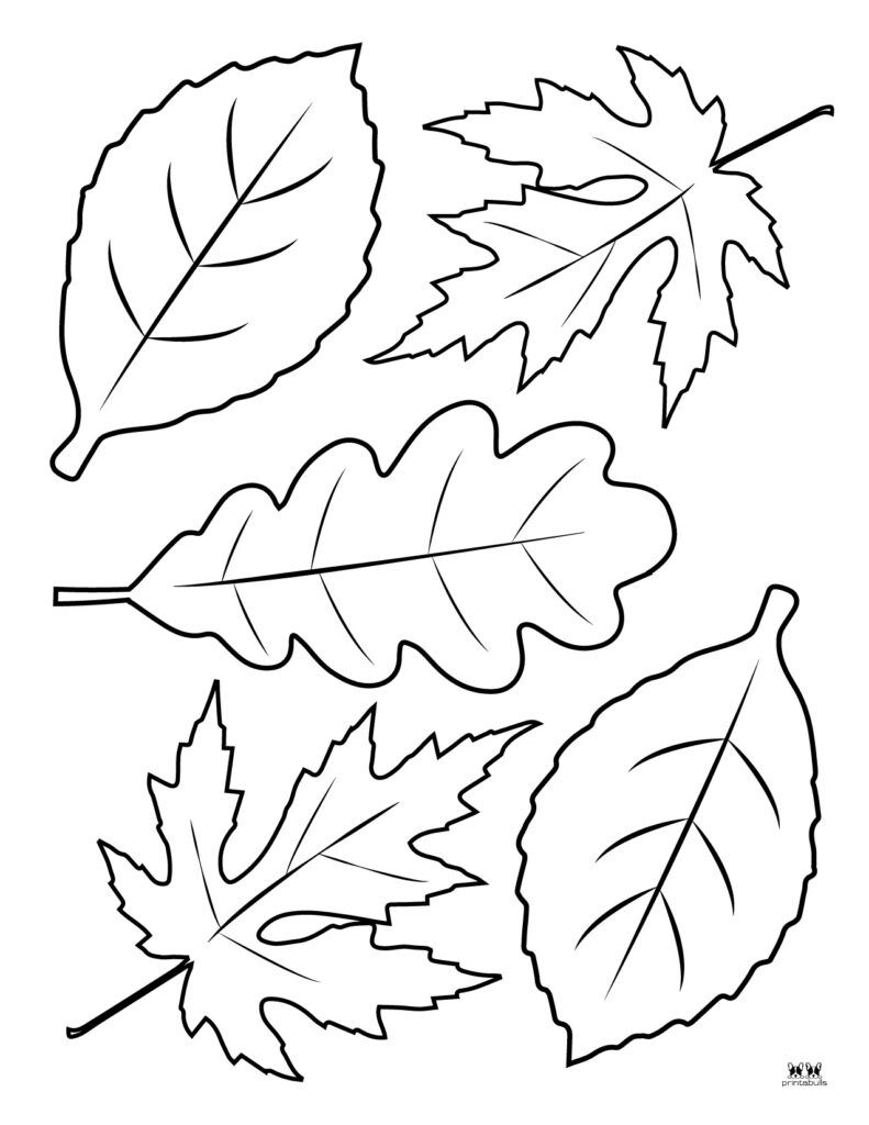 Leaves Template Free Printable Artofit