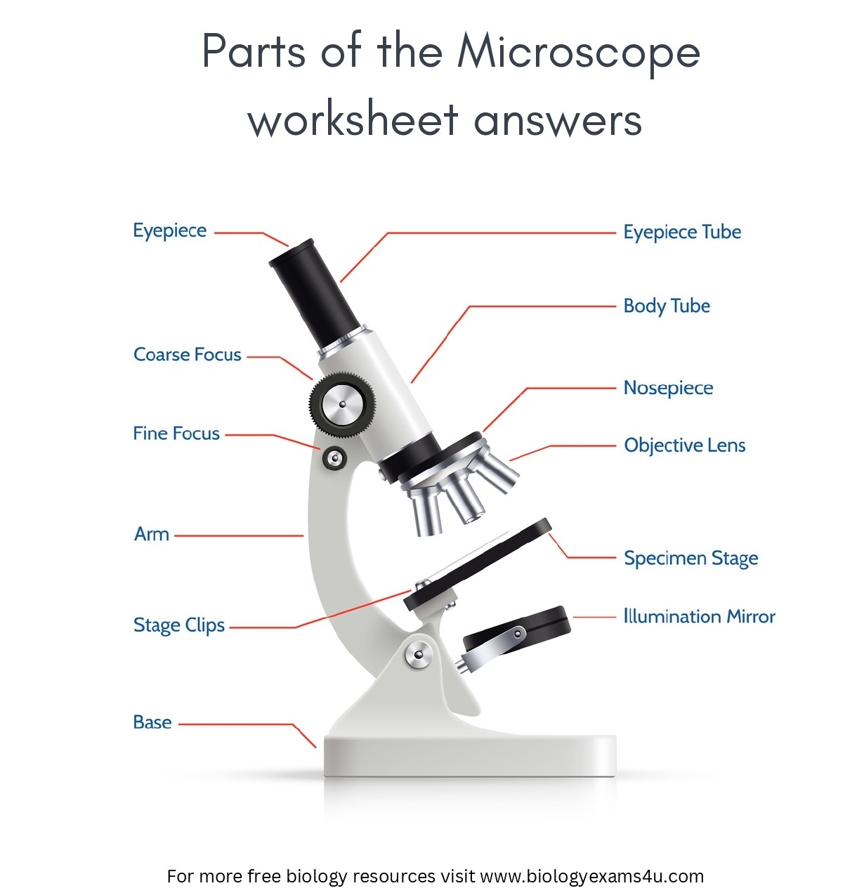 Microscope Diagram Free Printable Tests And Worksheets 
