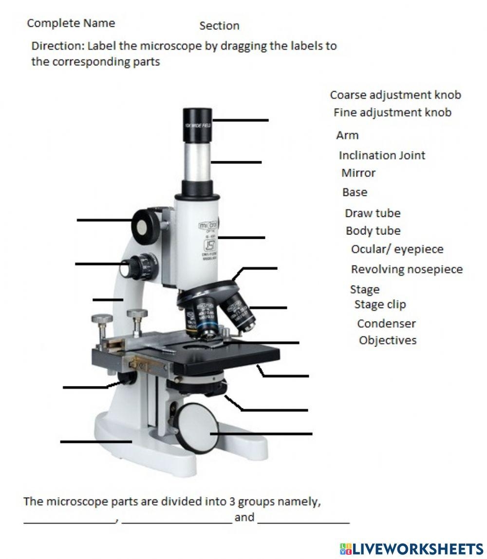 Microscope Parts Cj2906 Live Worksheets Worksheets Library