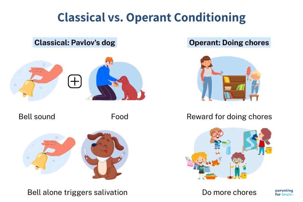 classical conditioning vs operant conditioning worksheet