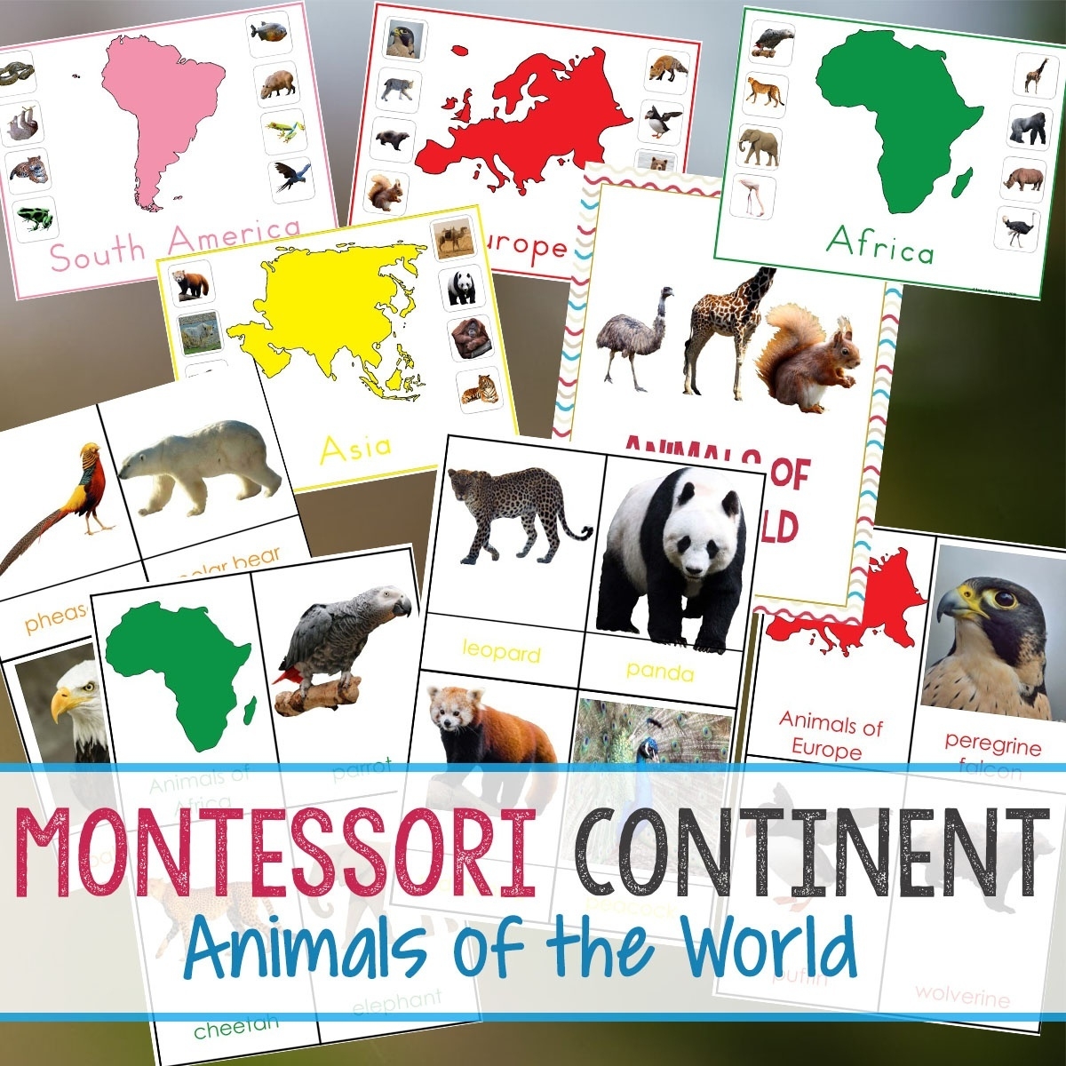 Montessori Animals And Continents Printables And Activities Free