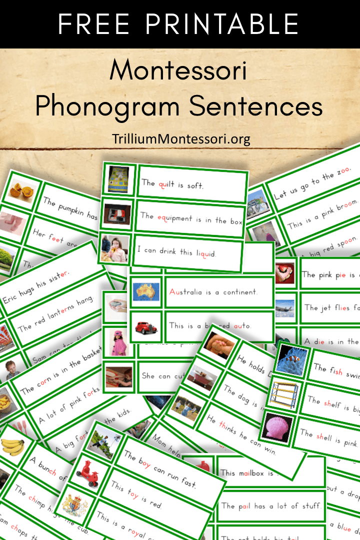 montessori cards free printable