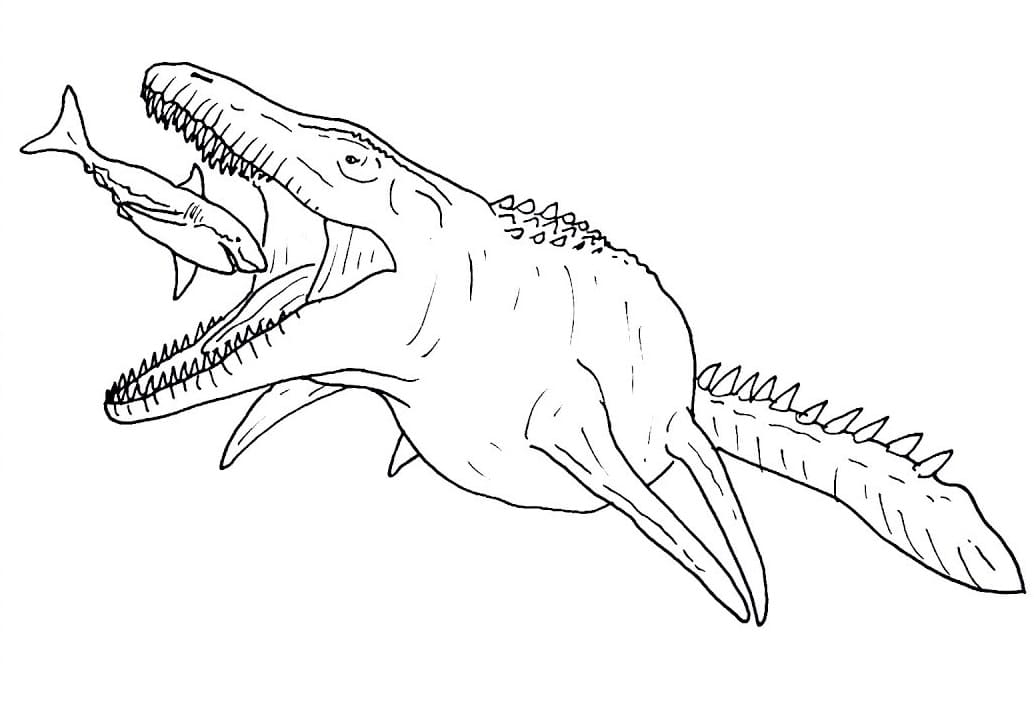 Mosasaurus Coloring Page