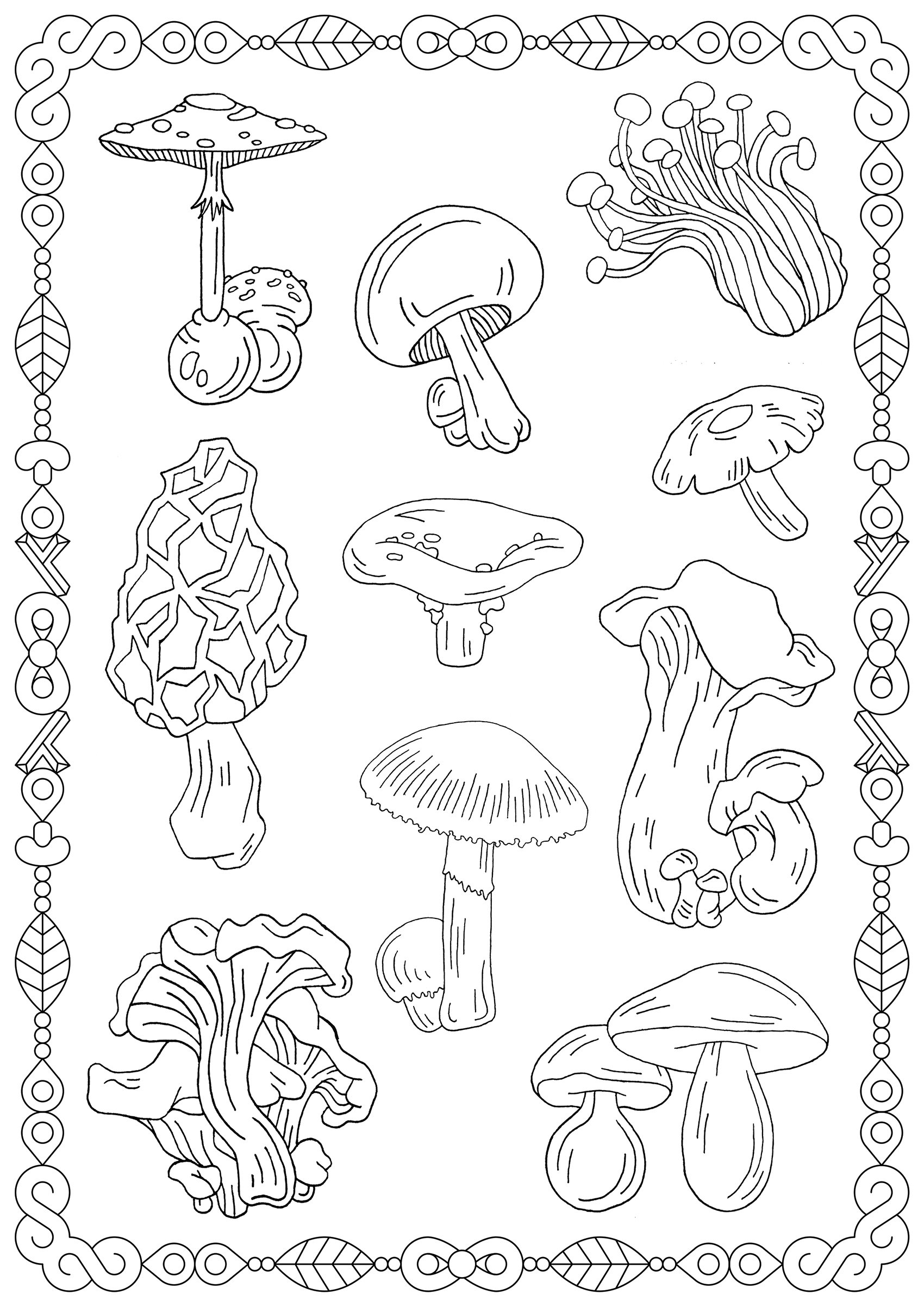 Coloring Pages Mushrooms