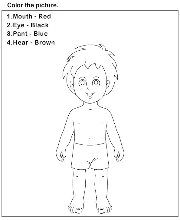 My Body Worksheets Preschool