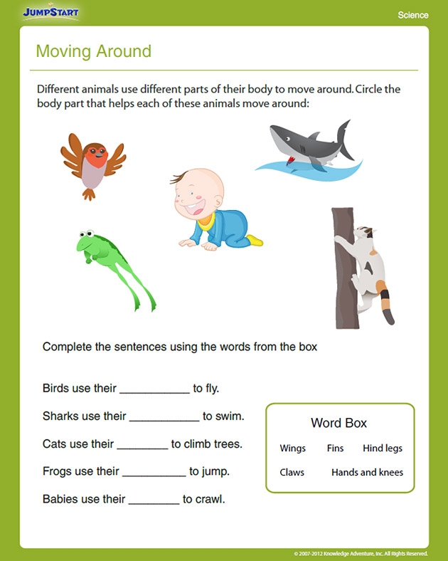 NEW 178 FIRST GRADE SCIENCE WORKSHEETS ANIMALS Firstgrade Worksheet