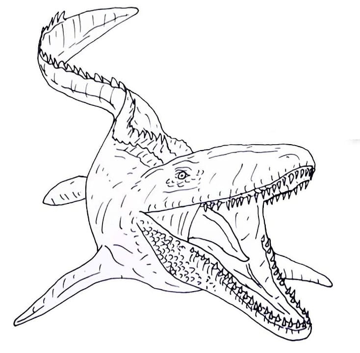 Normal Mosasaurus Coloring Page Free Printable Coloring Pages For Kids