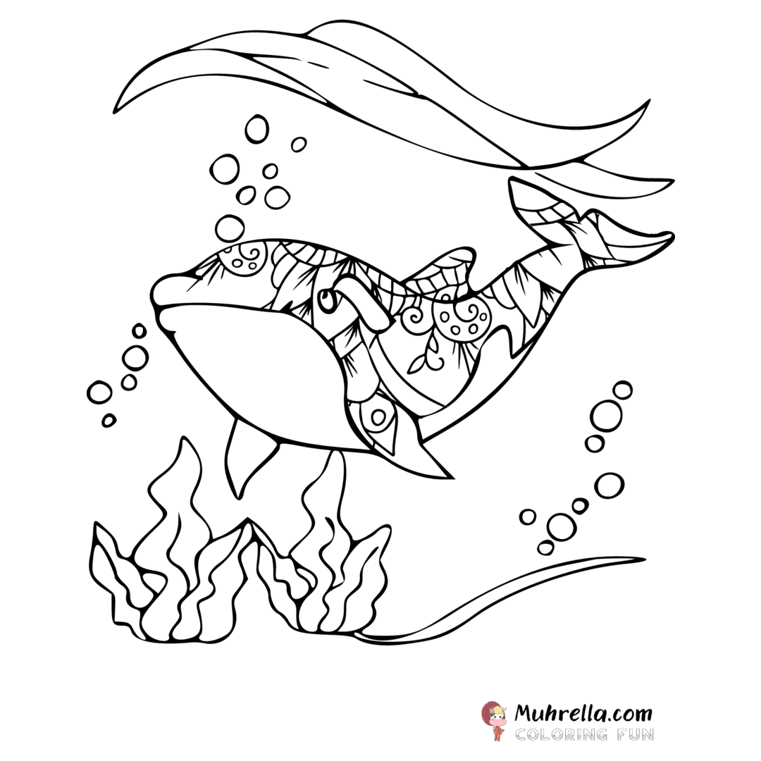 Orca Coloring Page