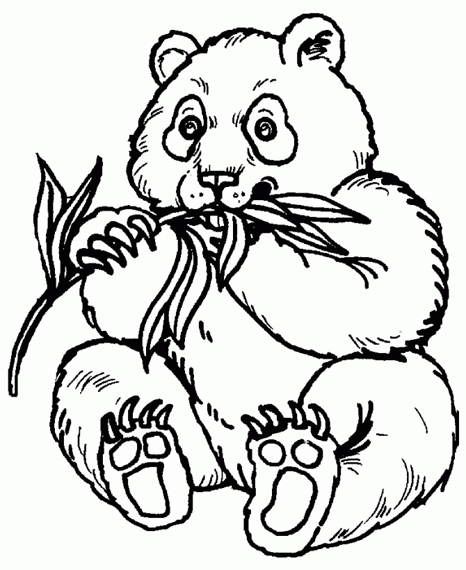 free panda coloring pages