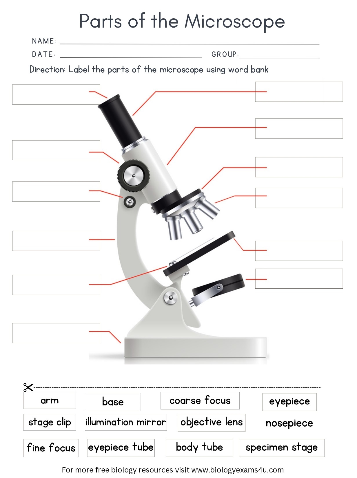 Parts Of The Microscope Worksheet With Answers Biology Worksheet 