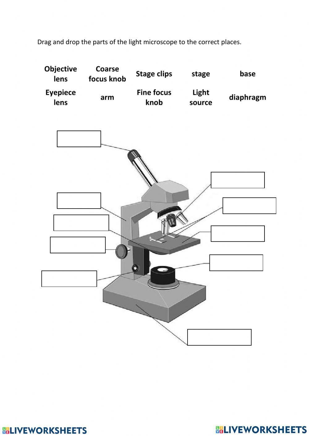 Parts Of The Microscope Worksheet With Answers Biology Worksheet 