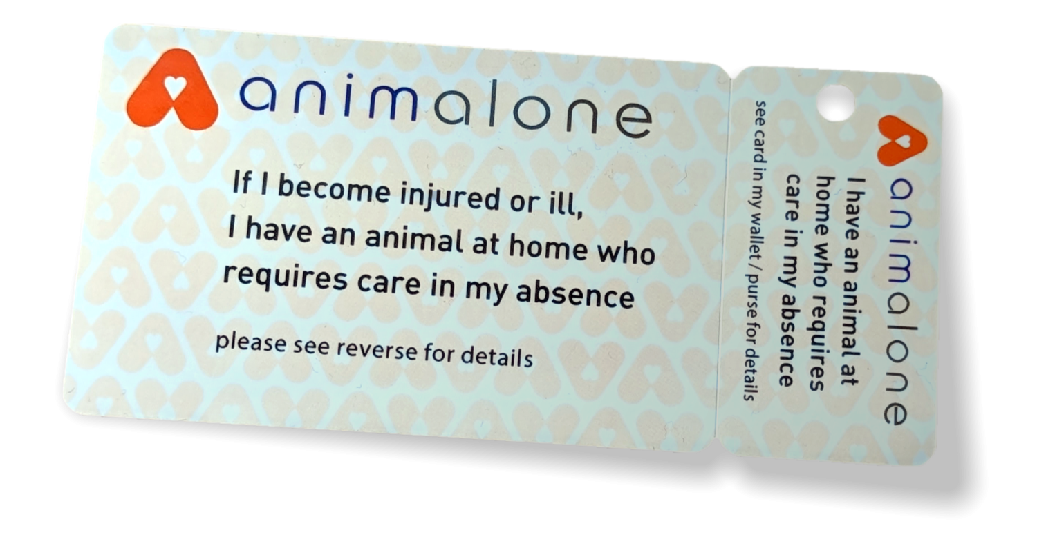 Pet Home Alone Card Keep Your Pets Safe And Secure