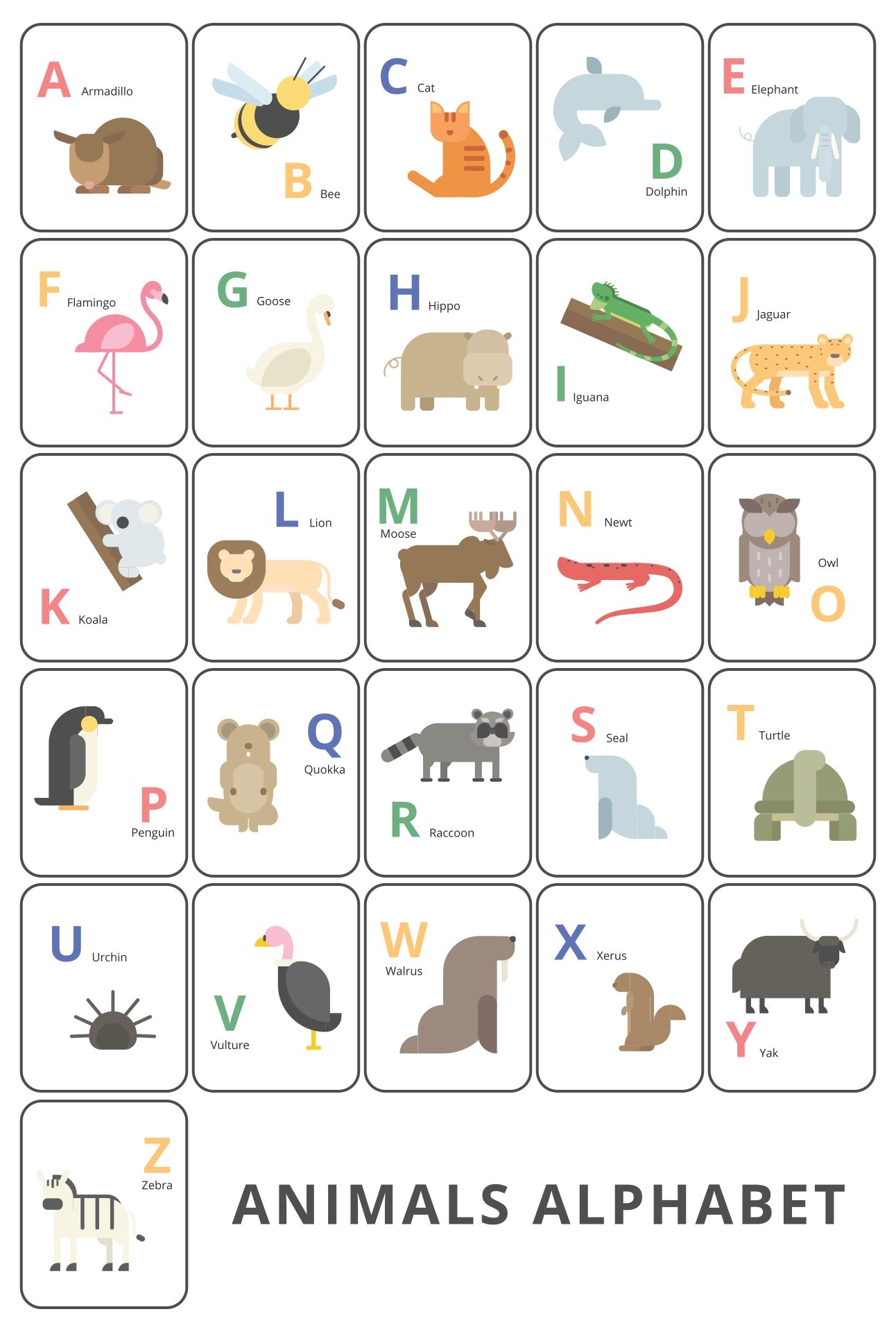 Phonetic Alphabet Flash Cards Pdf Alphabet Flash Card Vrogue co