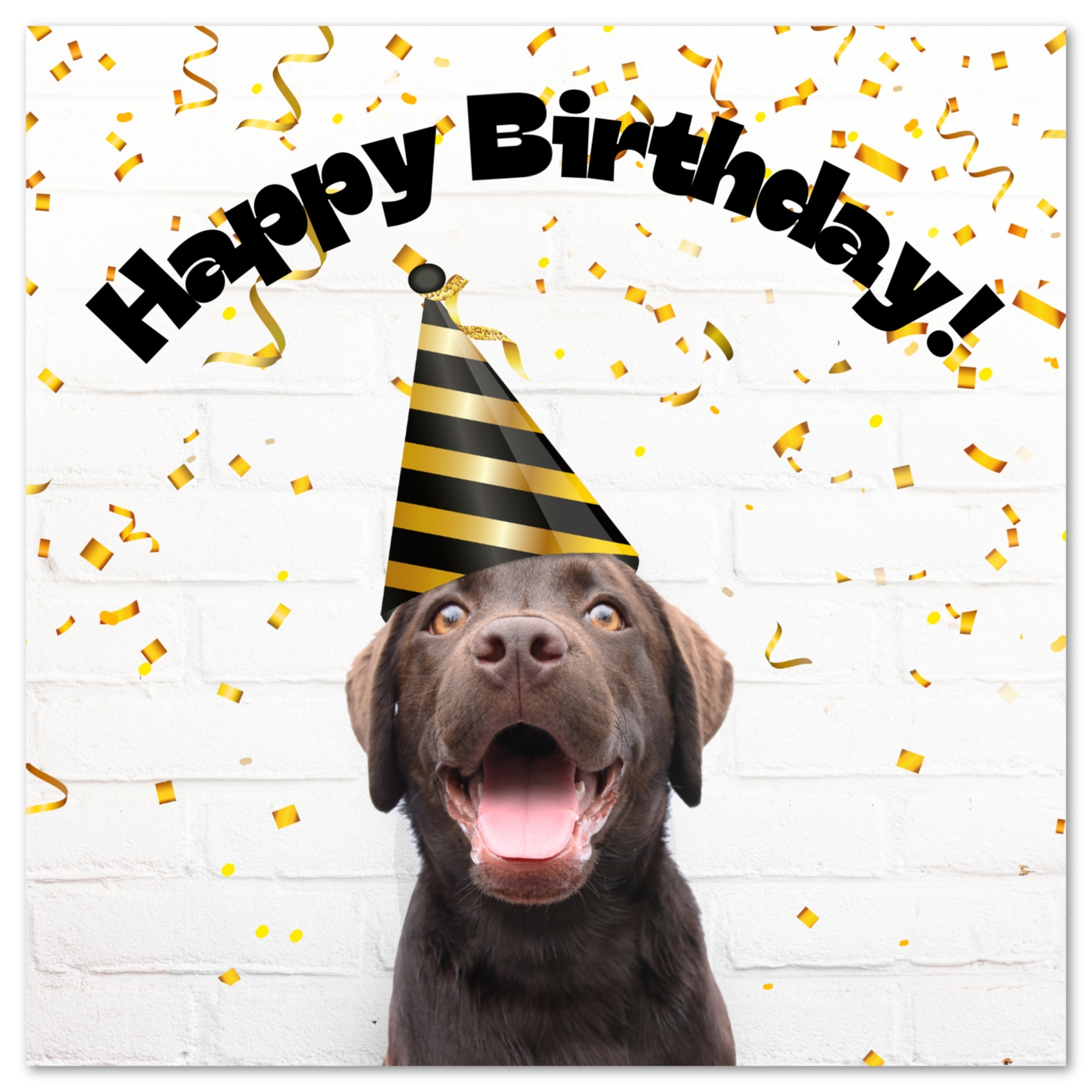 Printable Birthday Cards Dog