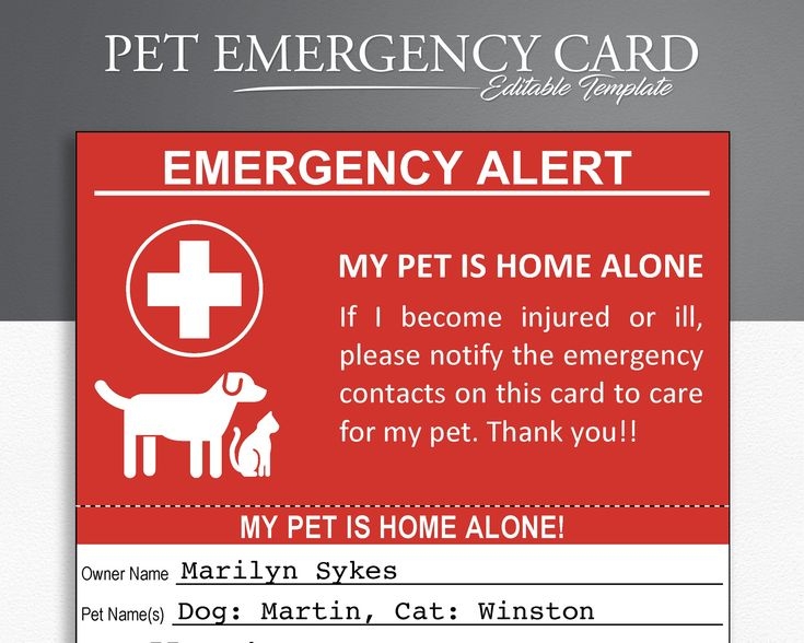my dog is home alone card printable