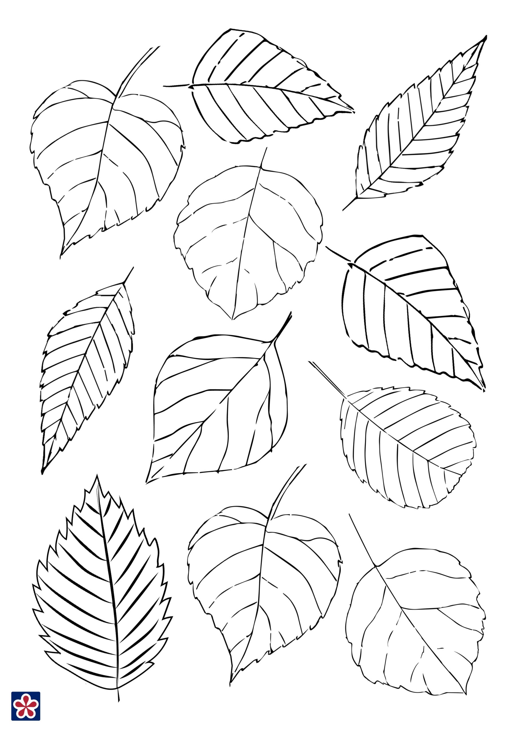 printable fall craft templates