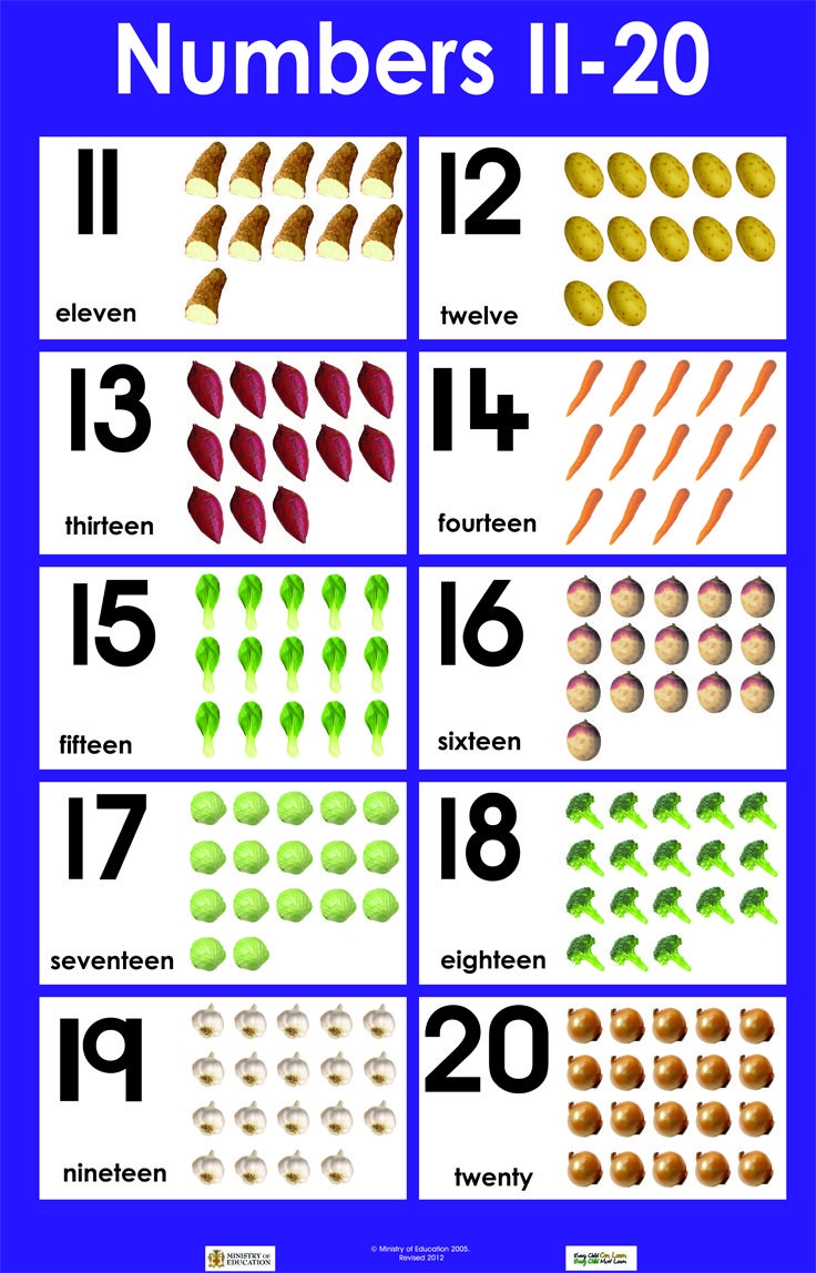 Printable Flash Cards 11 20 Printable Flash Cards