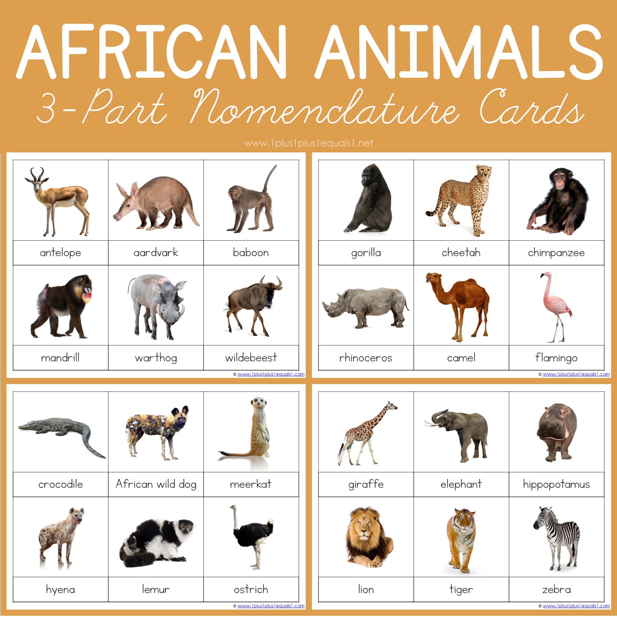 montessori animal cards printable