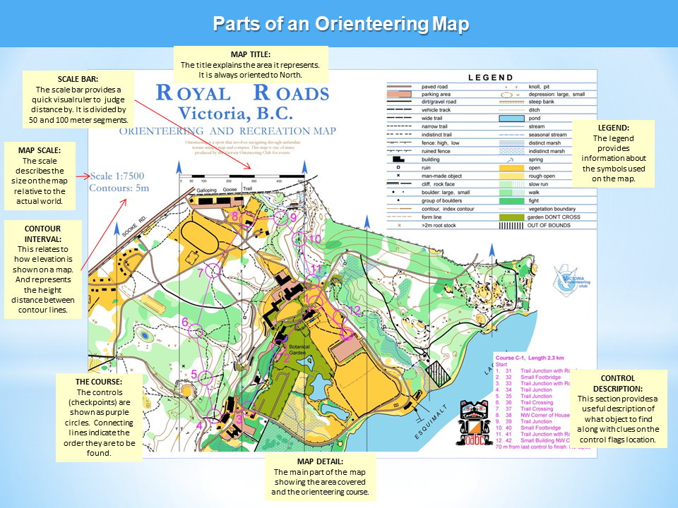 orienteering cards printable