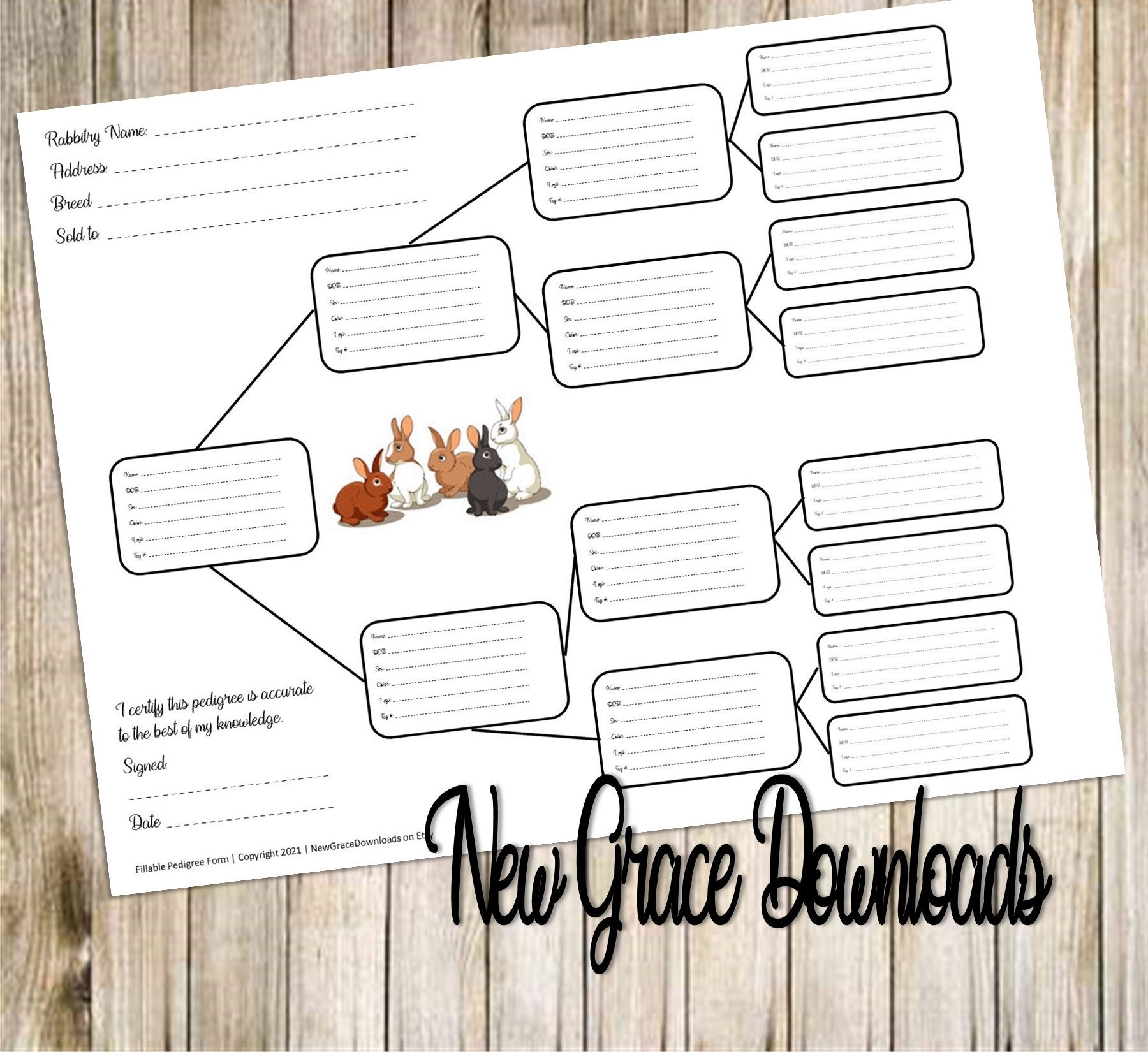 Printable Rabbit Pedigree Template Free Printable