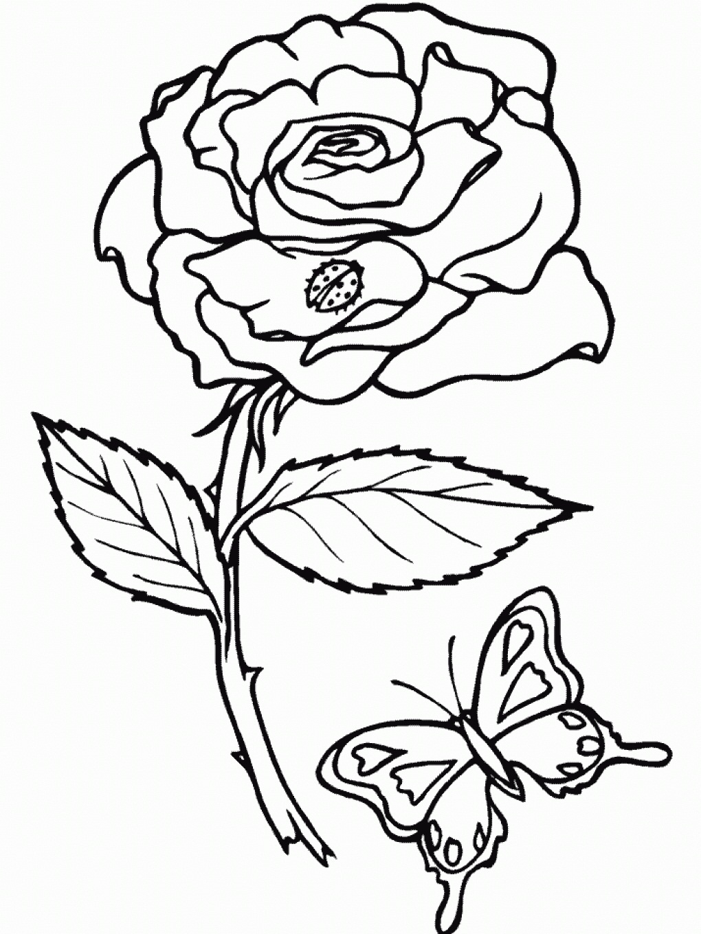 printable rose pictures