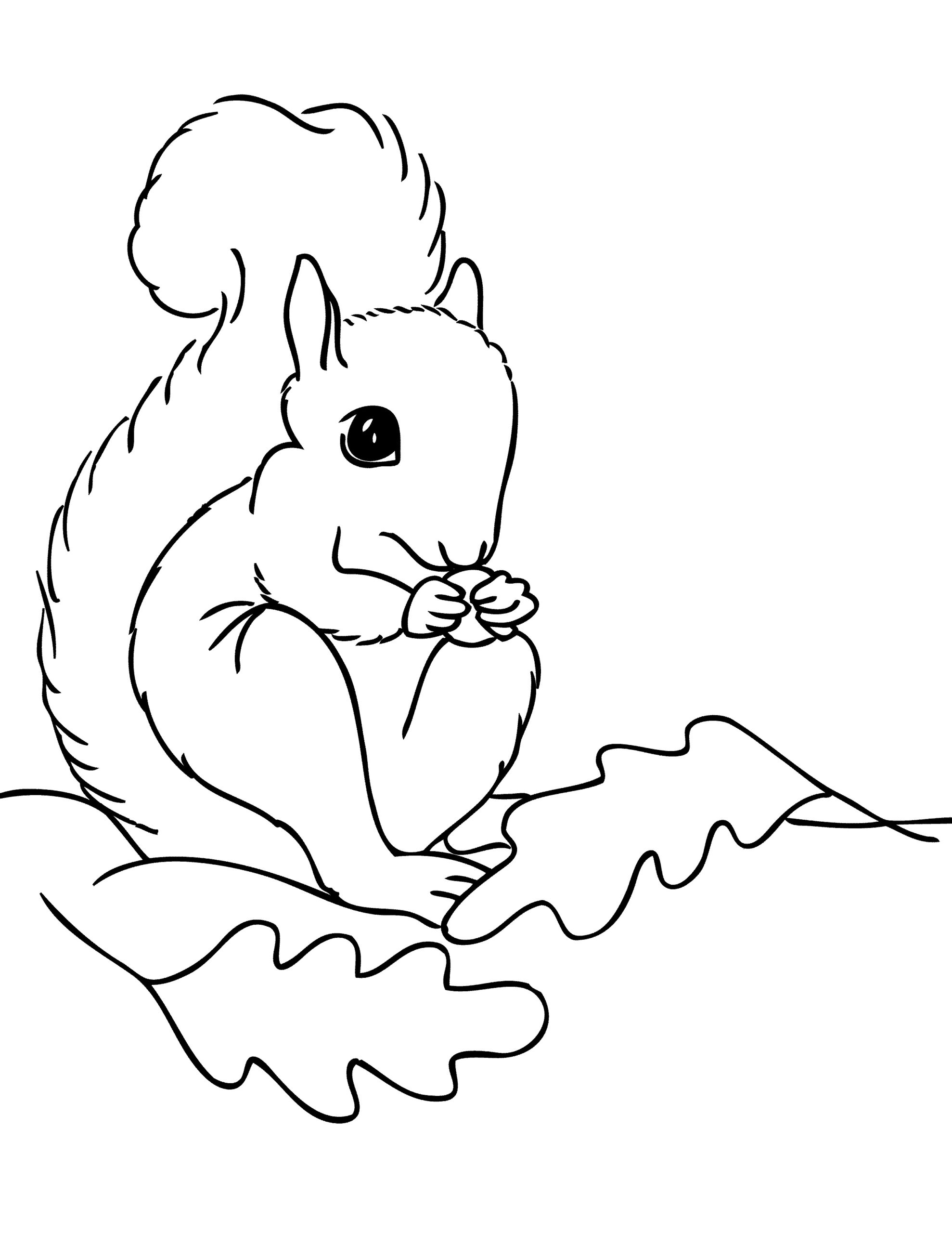 Printable Squirrel Printable Word Searches