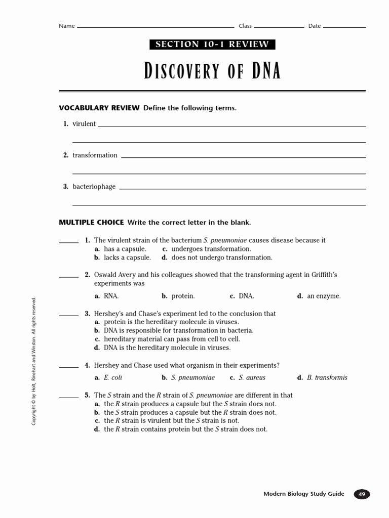 Protein Synthesis Worksheet Answer Key Unique Worksheet Dna Rna And