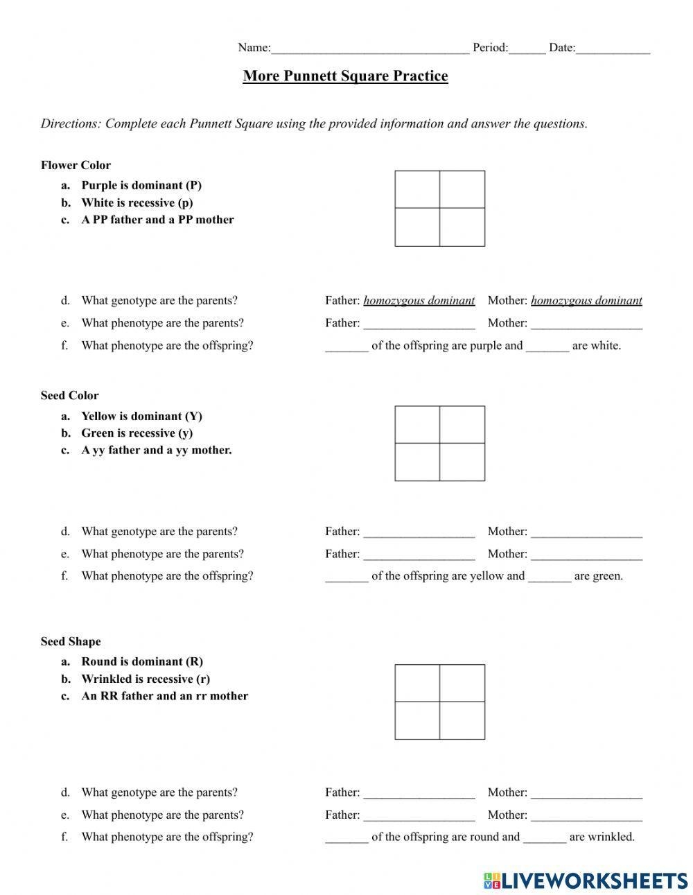 Punnett Square Practice Problems Worksheets Library