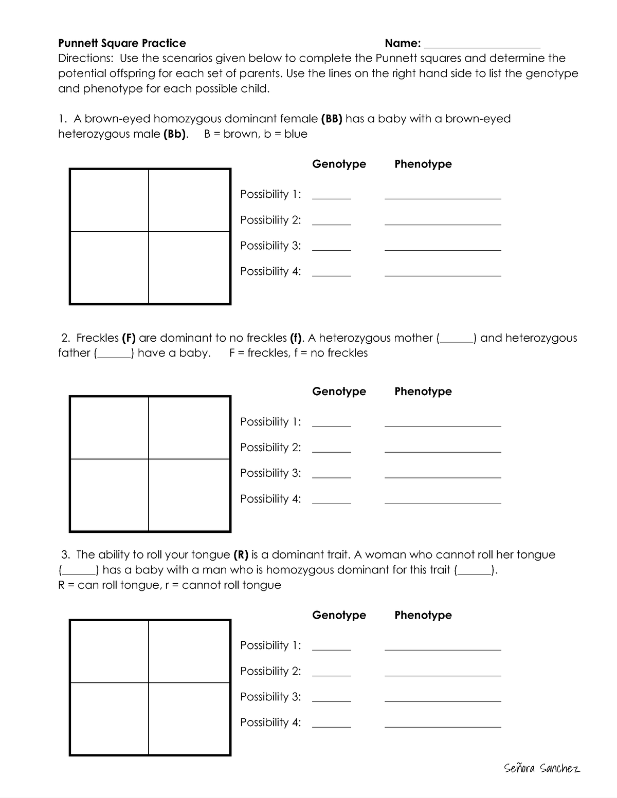 worksheet on punnett squares