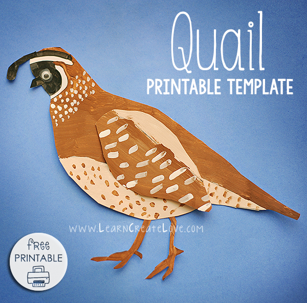 printable quail pictures