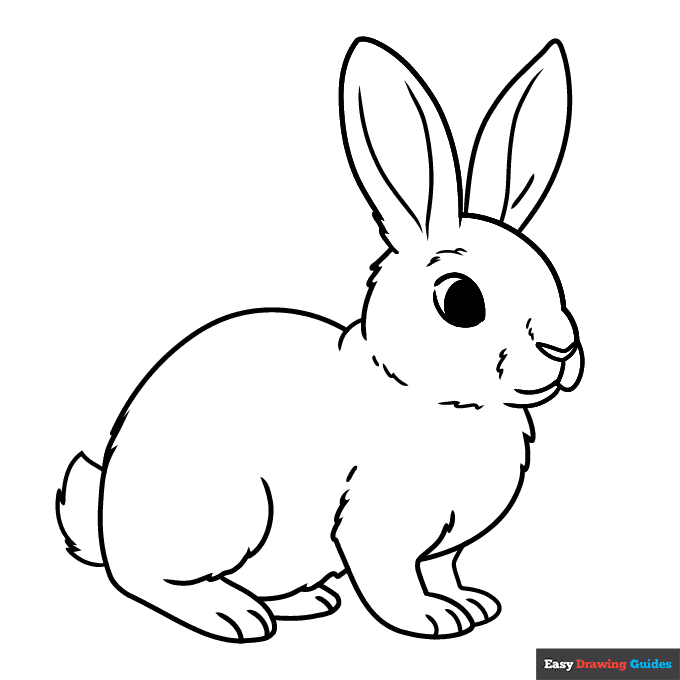 printable coloring pages rabbit