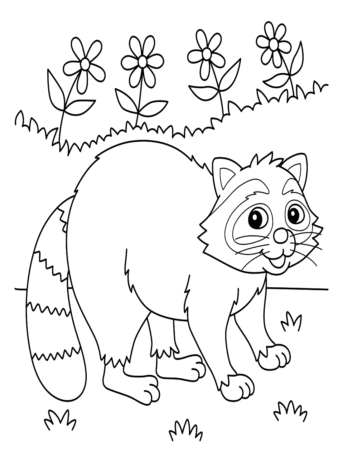 Raccoon Coloring Page