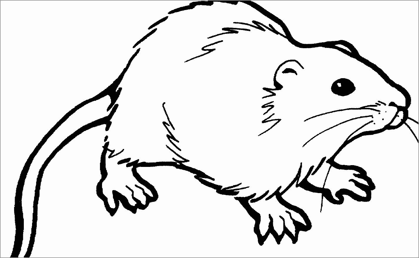 Rat Fink Coloring Pages Printable