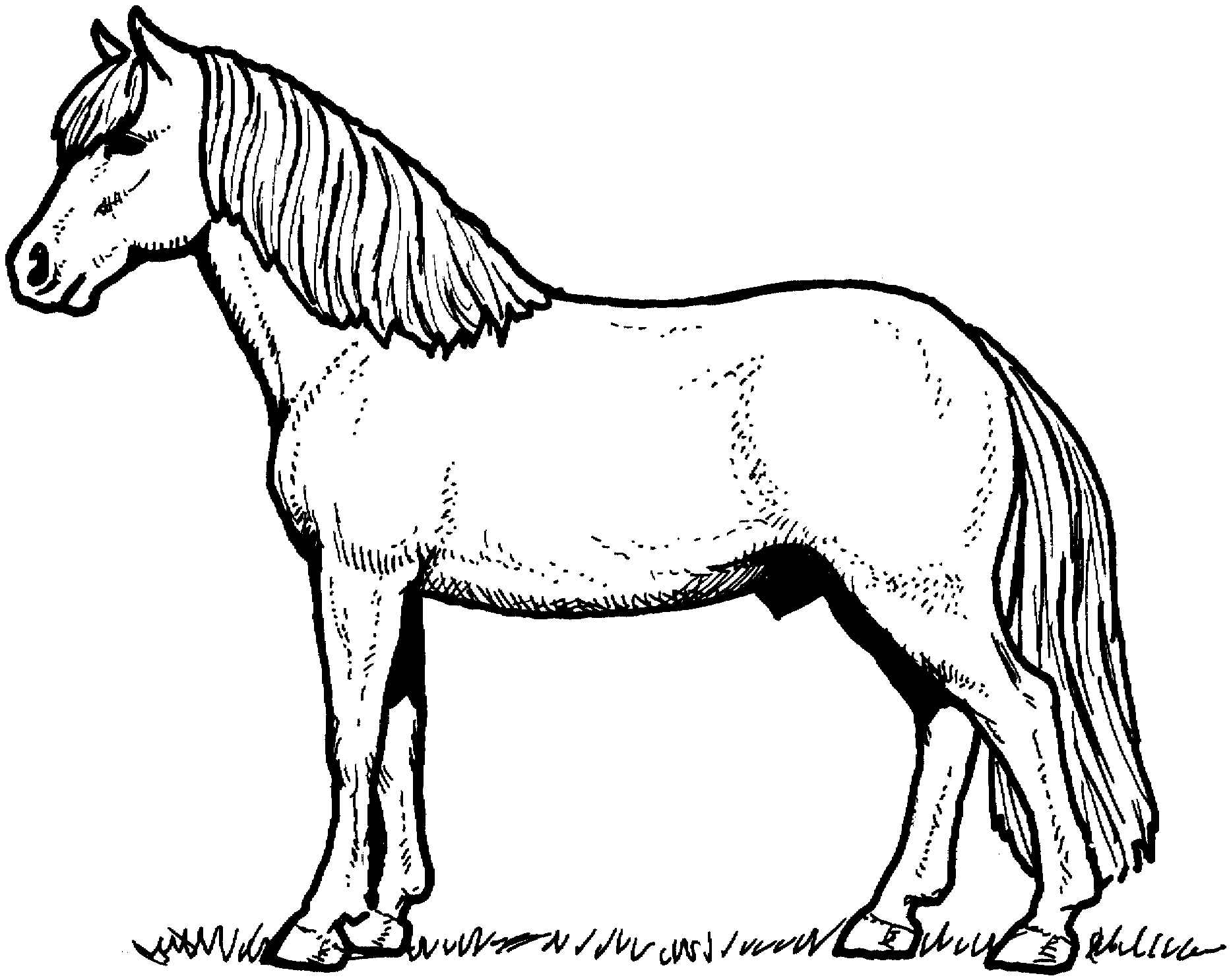 Realistic Horse Coloring Pages At GetColorings Free Printable 