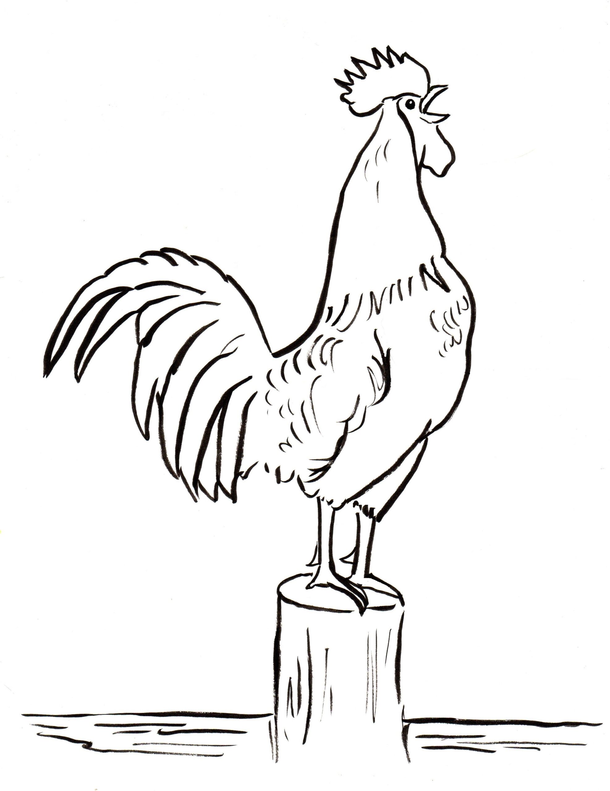 Rooster Printable Printable Word Searches