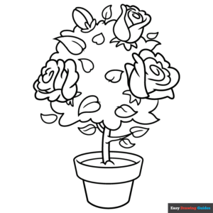 Rose Bush Coloring Page Easy Drawing Guides