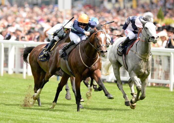 Royal Ascot Racecards 2023 Royal Ascot Runners