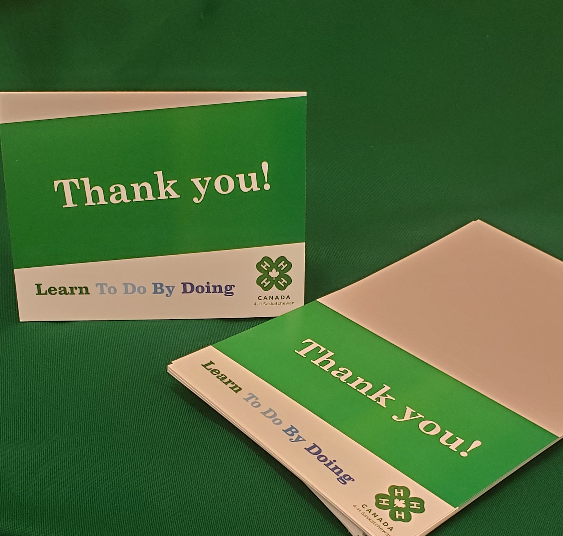 Saskatchewan 4 H Thank You Cards Pack Of 10