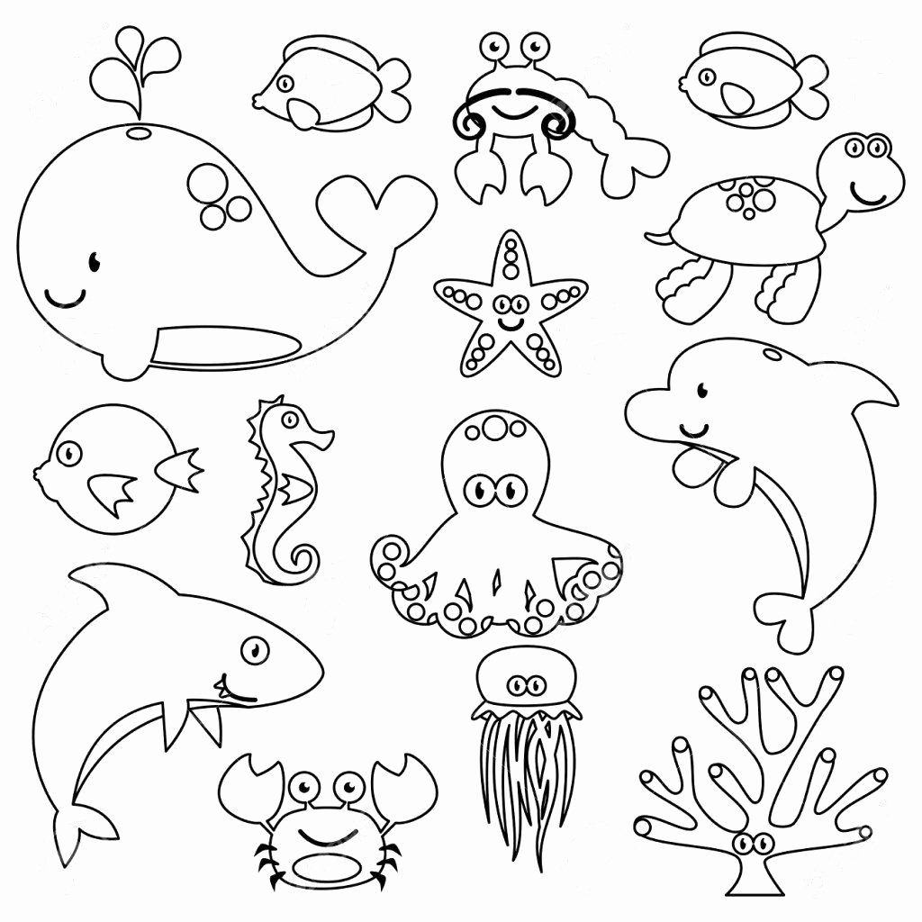 Sea Animals Clipart Coloring Pages
